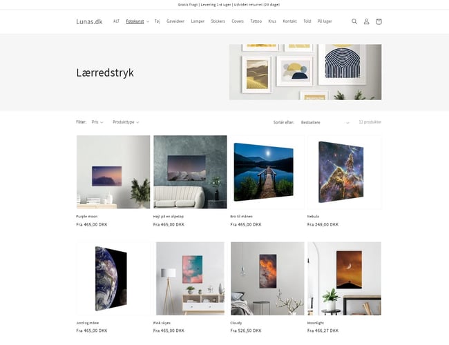 Dropshipping webshop - Produkter indenfor tema med måne og space