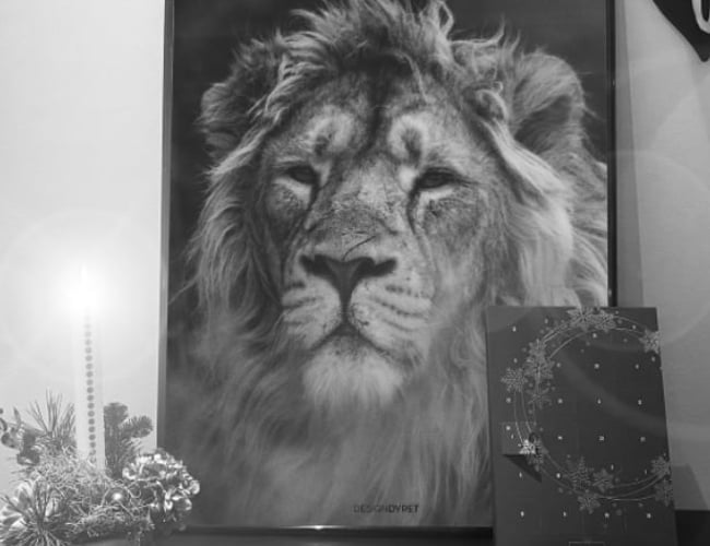 Gammel plakat webshop sælges