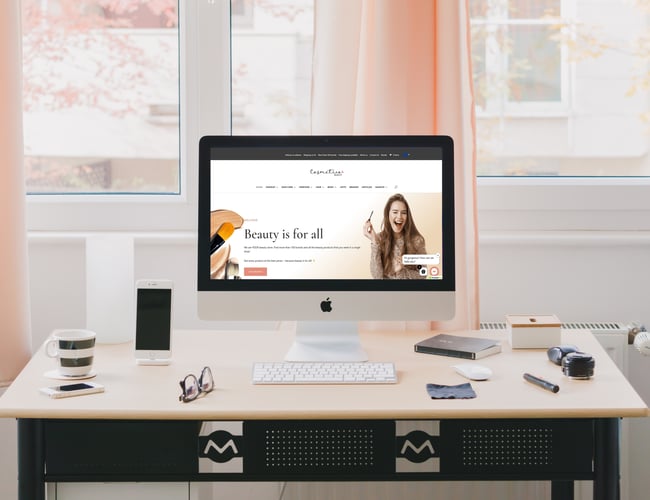 3 x Dropshipping webshops med salg i hele Europa - Omsætning åtd. +170.000 kr. 