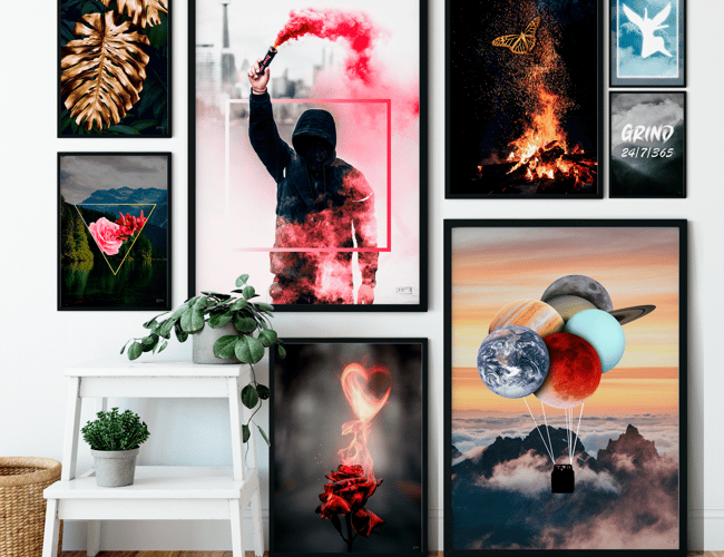 Partner/invester søges til plakat webshop