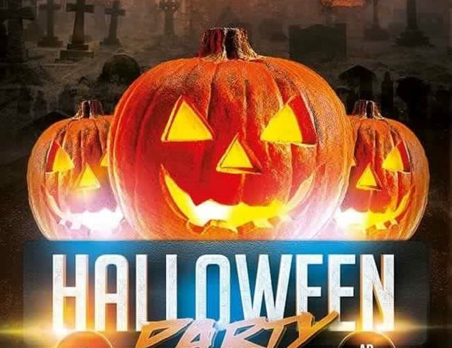 Veldrevet Diskotek med stor og solid indtjening