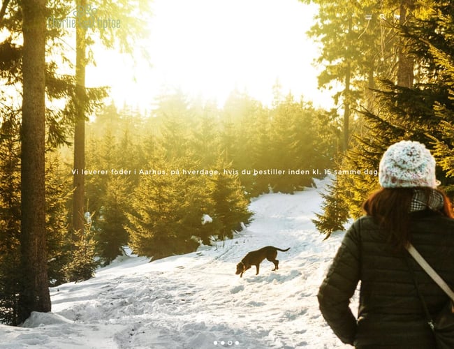 Charlietiptoe.com - Eksklusivt hundeudstyr sælges - Omsætning på 42.000 kr.