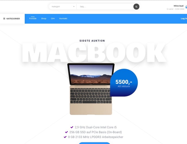 Dansk-auktion.dk domæne med semi færdigt auktionsplatform koncept sælges 
