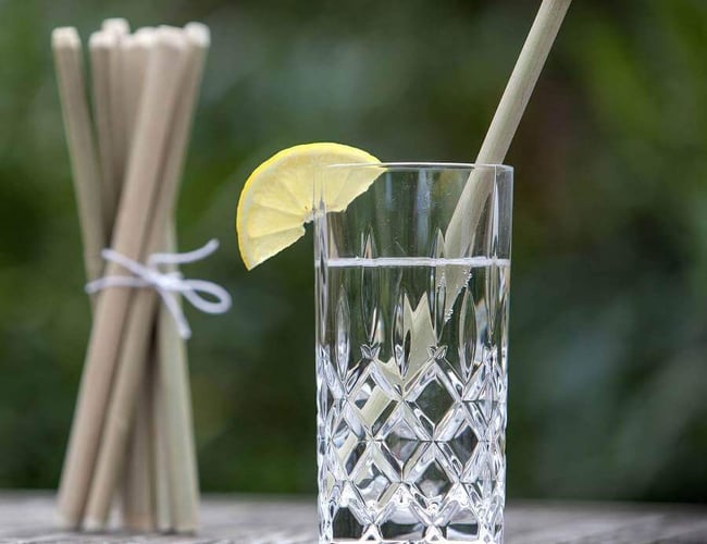 greengoods.dk - Velkørende webshop med fin omsætning - henvender sig til den bæredygtige husholdning