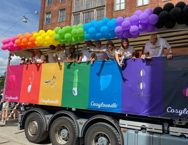 Cosylove.dk / Stort Potentiale