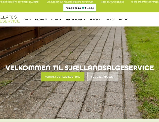 Fliserens, tagrens, facaderens tagmaling, algebehandling - Omsætning på 100.000 kr. i første halvår af 2023