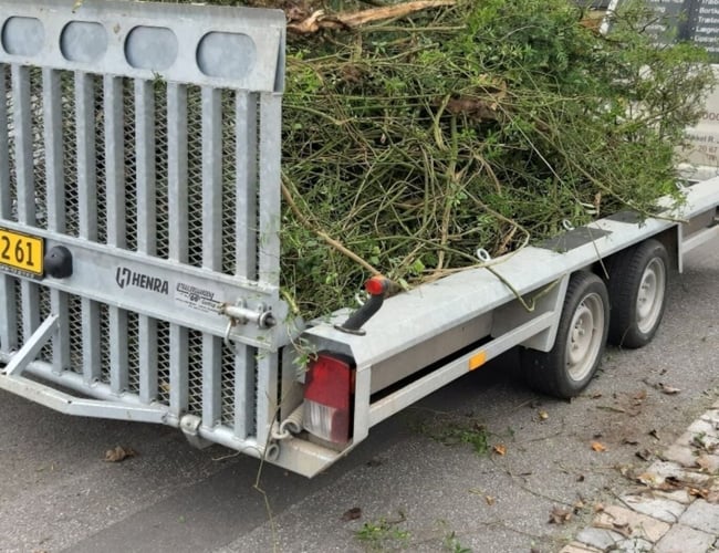 Lille håndværkervirksomhed/Multiservice.