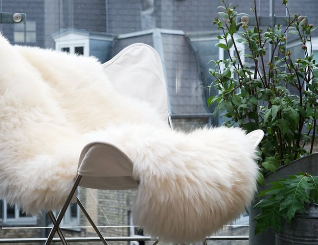 Engros og webshop med lammeskind og hjemmesko med høj avance. Overskud før skat: 300.000 kr.