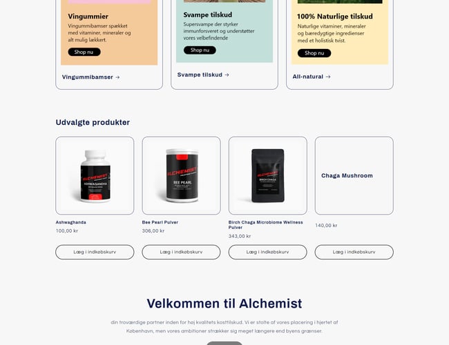 Dropshipping | Ready to go | fuld automatiseret - shopify webshop