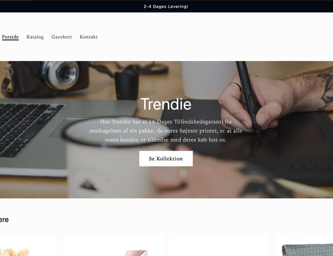 Salgklar webshop TRENDIE.DK - Perfekt til dig som ønsker at starte din egen dropshipping rejse 