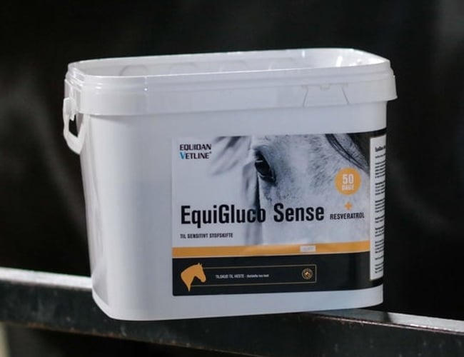 Webshop med rideudstyr og plejeprodukter til salg - Omsætning: kr. 215.000 Overskud: Ca. kr. 50.000