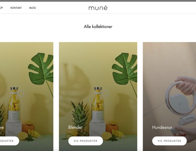 Webshop med stort vækstpotentiale sælges m. varelager - Omsætning på 25.000 kr. den første måned. 