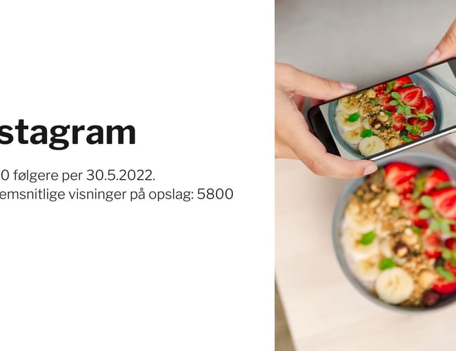 Velbesøgt sundheds- og opskrift hjemmeside - 40.000-120.000 unikke (organiske) besøgende per måned afhængig af sæson 