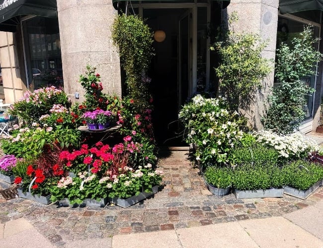 Unik hjørnebutik med 4 vinduer København K. til afståelse med lav husleje. 144 kvm.