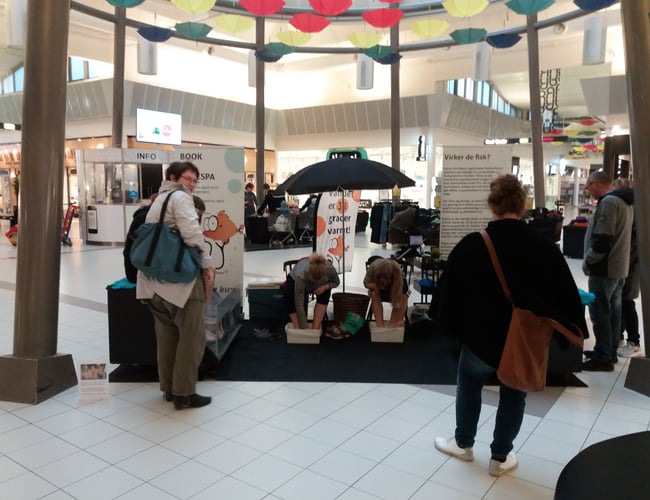 NY PRIS! Unik wellness virksomhed med doktorfisk til salg. Her kommer sommeren.