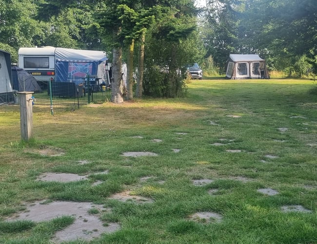 Campingplads bortforpagtes – naturnær beliggenhed og stærkt udviklingspotentiale