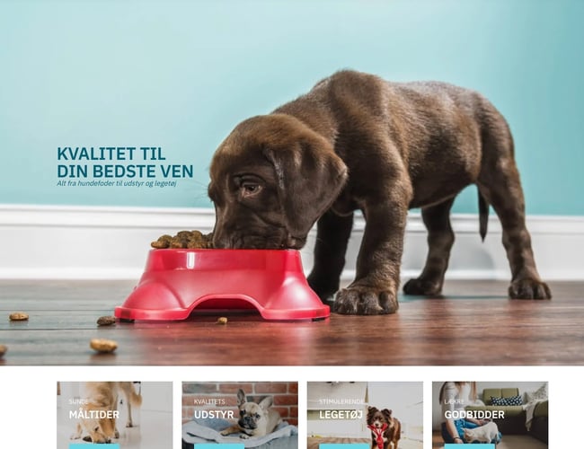 Doggies.dk - Webshop med omsætning sælges (Dropshipping) - Omsætning på +60.000 kr. i 2021