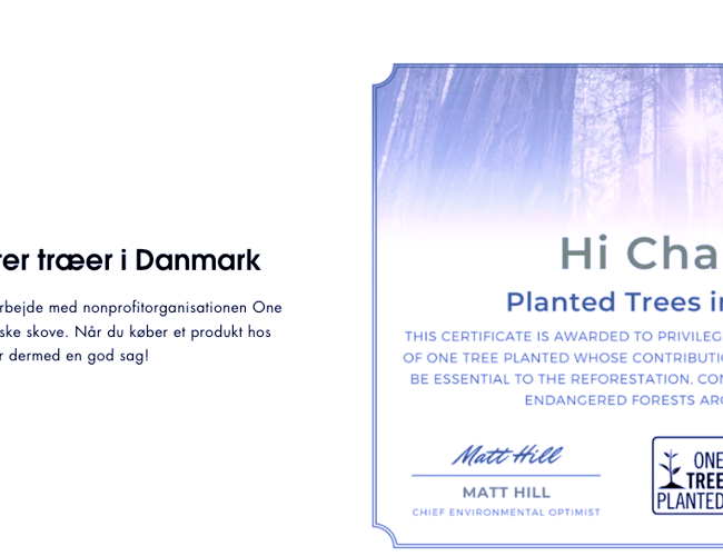 Dropshipping webshop med salg af trendy opladere!