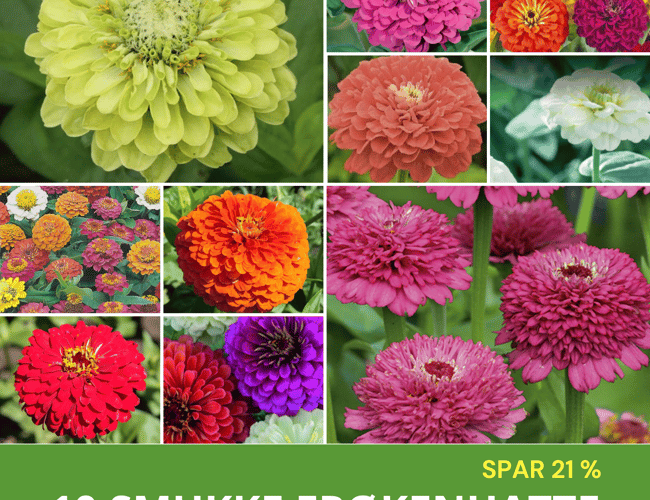 Webshop fra 2011 med stort kundekartotek