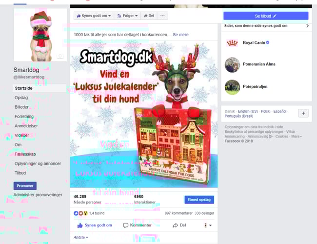 Smartdog.dk - SEO-optimeret webshop med overskud - 2,6 mio. omsætning