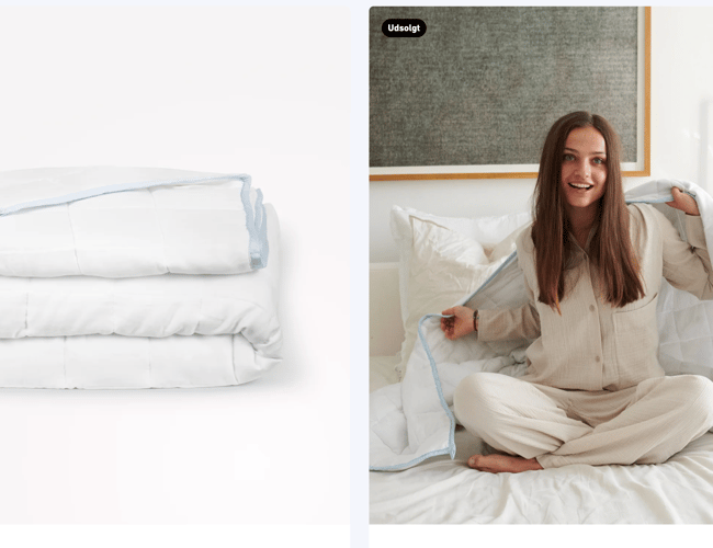 Veletableret webshop med salg af tyngdedyner