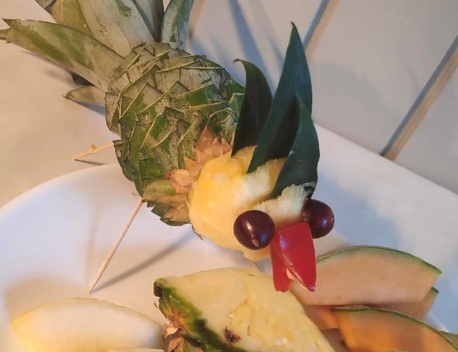 Oasen Samsø - Feriecenter og meget mere