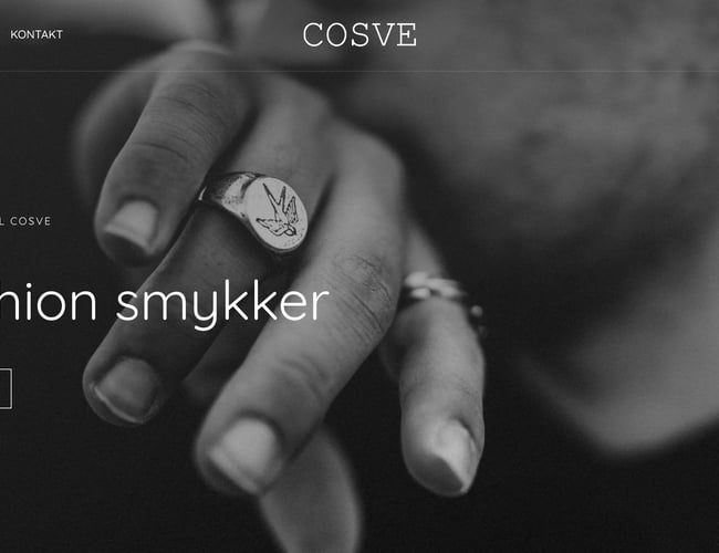 Dropshipping virksomhed med herre smykker