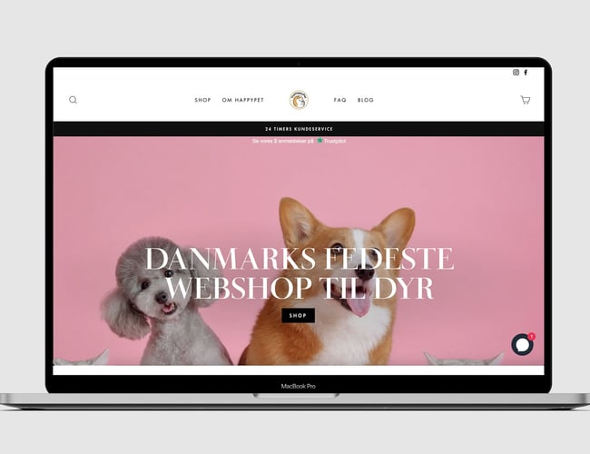 Webshop med salg af kæledyrs produkter - Omsætning på: 10.000 kr. på 1 måned.