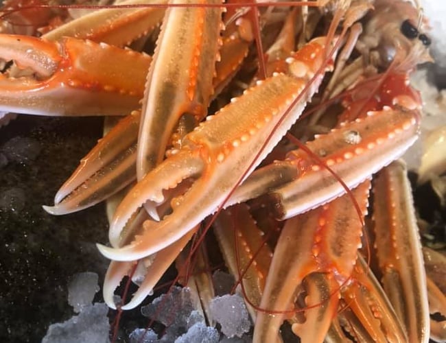 Velrenommeret Fiskebil sælges - fast kundekreds og holdepladser - Omsætning: 1.079.000 kr.