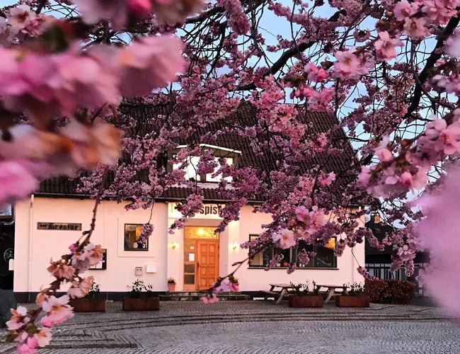 populært spisehus i hjertet af Hvalsø, Midtsjælland