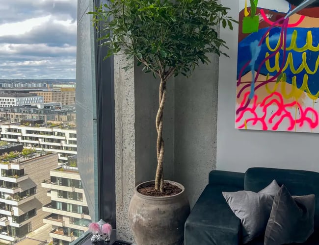 Stueplante og krukke webshop 