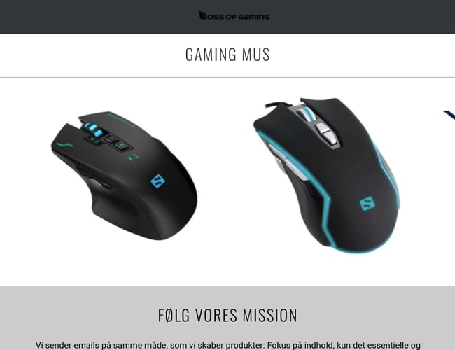 Køreklar dropshipping webshop med dag til dag levering!