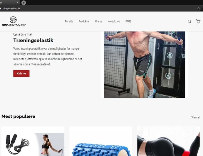 Køreklar dropshipping Webshop med alt klar til dig