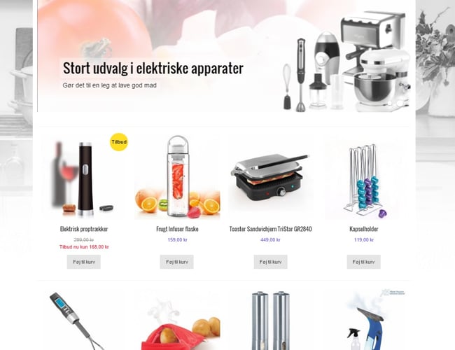 Webshop med dropshipping integration, god omsætning og godt domæne