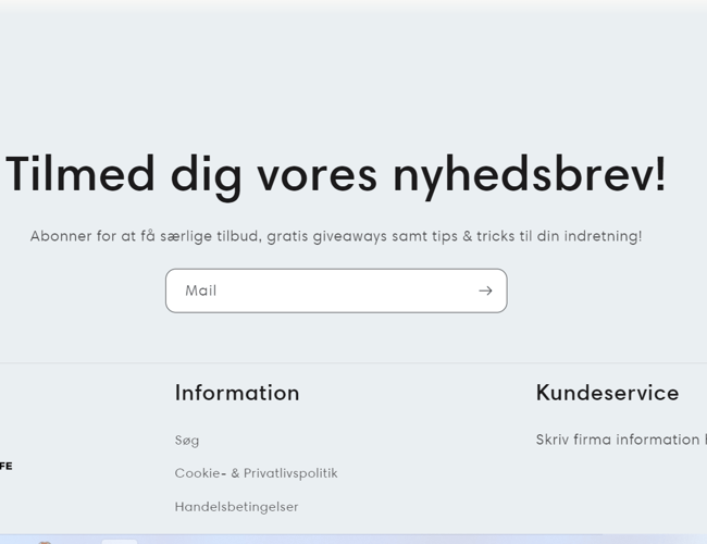Professionel dropshipping webshop - udviklet af E-com+