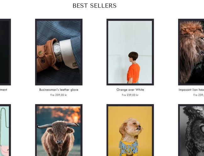 Dropshipping shop med salg af plakater - Avance på hele +50%