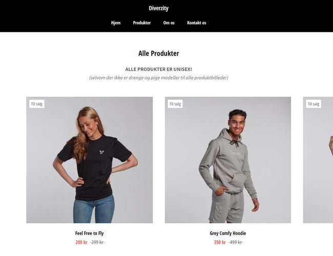 50.000 kr. i omsætning på under 1 år! - webshop med street og sportswear