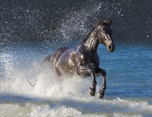 Rengøringsfirma på Fyn med speciale indenfor tekniske beklædninger - Omsætning 400.000 DKK