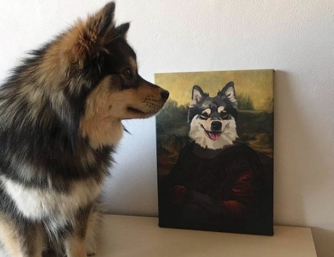 Partner søges til sjovplakat