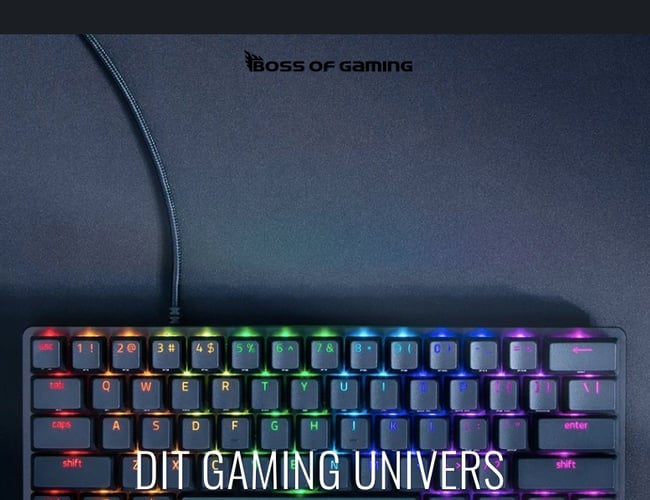 Køreklar dropshipping side med dag til dag levering. Dansk leverandør. 