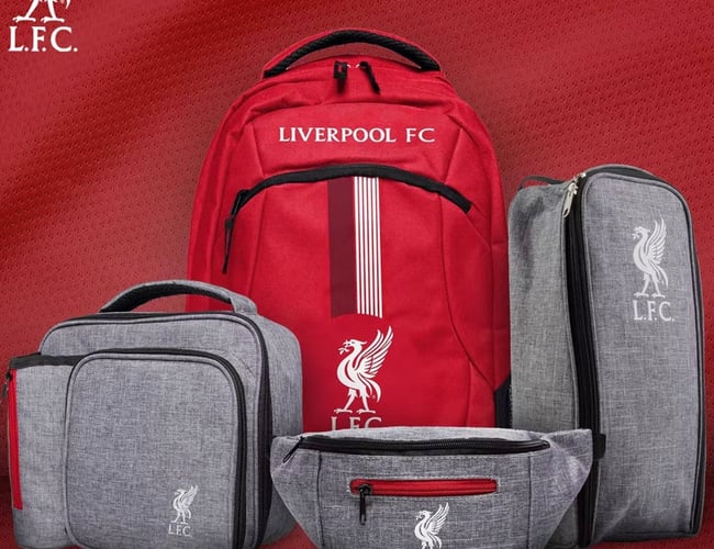 NY PRIS: Fodboldgaver.dk / Fodbold merchandise webshop - Omsat for over 2.000.000 kr. 