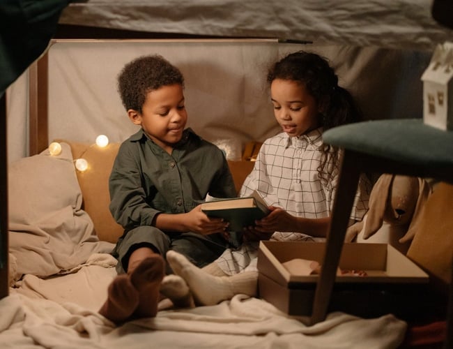 Stor webshop med møbler og boligtilbehør - Omsætning +20 mio DKK - DG: 60%