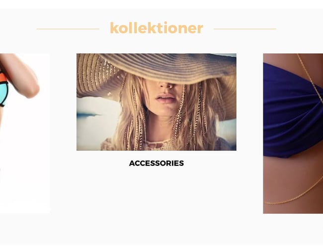 Nichewebshop der sælger bikinier (nedsat)