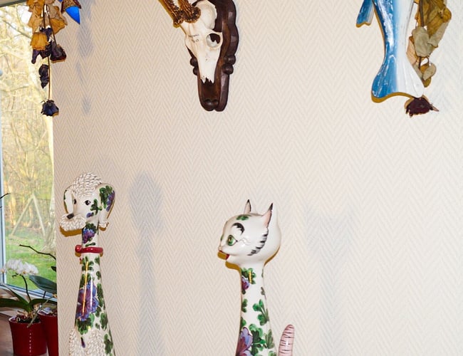 Veletableret niche webshop med Jagtudstyr - omsætning 404 t. kr. med stor organisk salg.