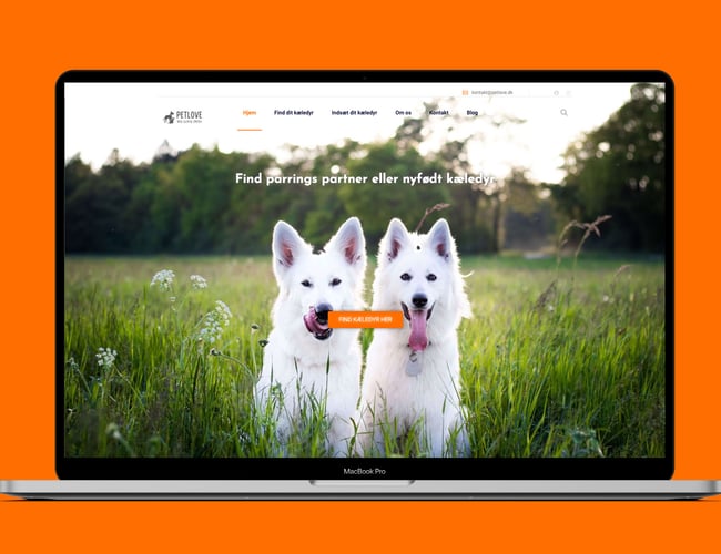 Tinder for kæledyr - Parrings partner for kæledyr - Omtalt i bl.a. TV2 og Se og hør. 
