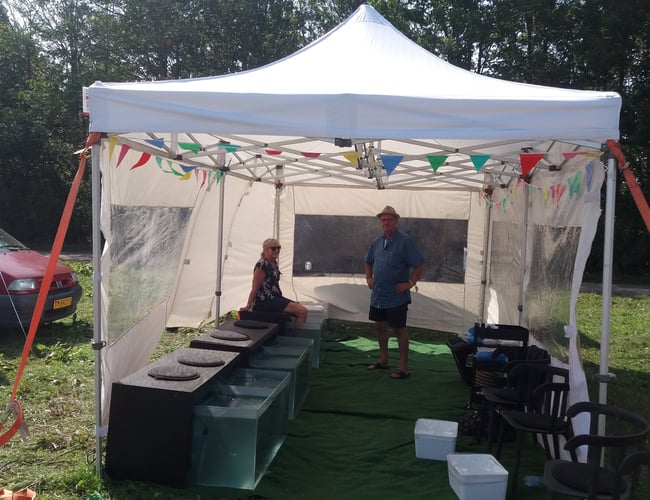 NY PRIS! Unik wellness virksomhed med doktorfisk til salg. Her kommer sommeren.