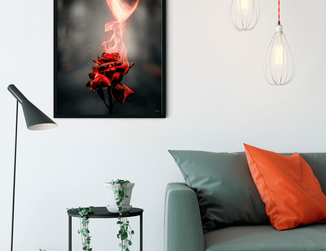 Partner/invester søges til plakat webshop