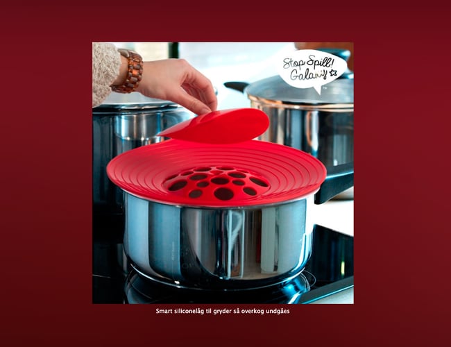 Webshop med eksklusive niche produkter via dropshipping el. lager - Omsætning ca kr. 350.000 i 16/17