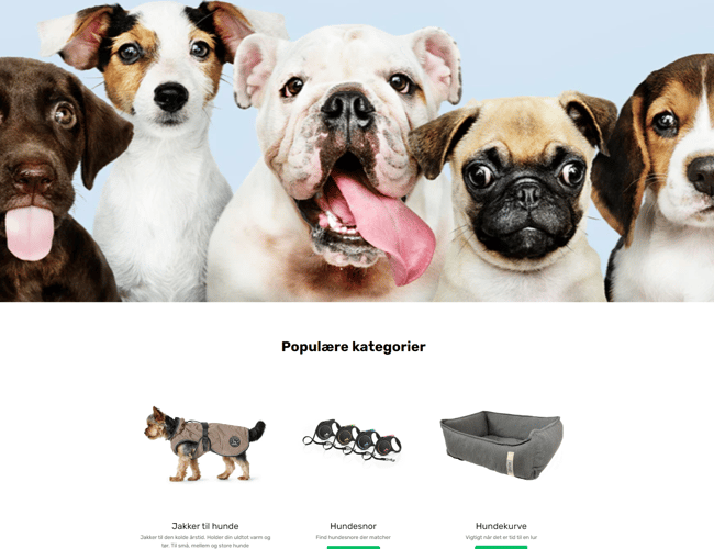 Dropshipping webshop med udstyr til hunde og katte