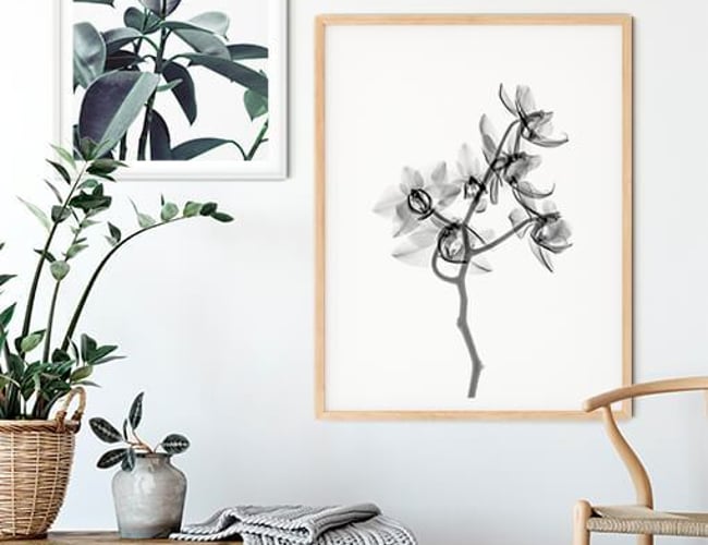 Artbyartig.dk - Plakatshop med over 100 unikke nordiske designs og velfungerende hjemmeside